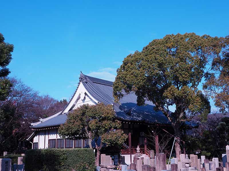 大寶寺 のうこつぼ