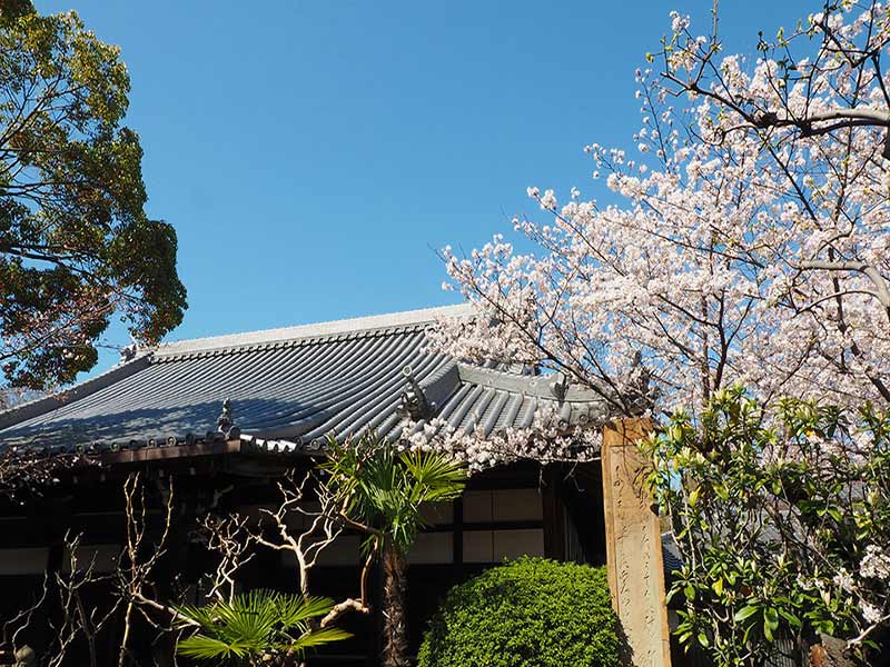 大寶寺 のうこつぼ