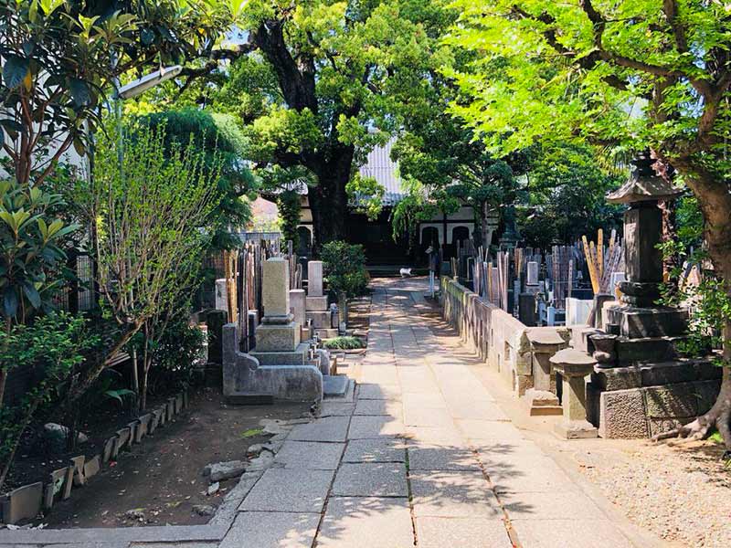 大雄寺 のうこつぼ