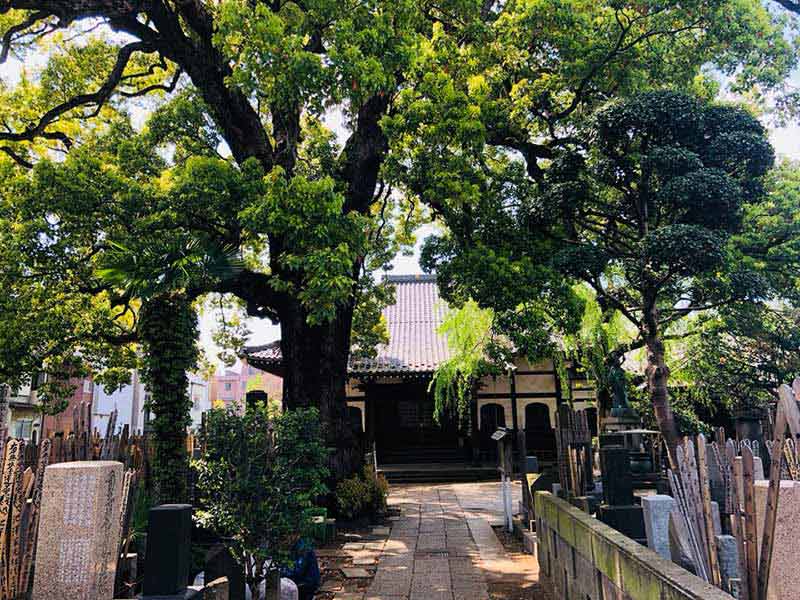 大雄寺 のうこつぼ