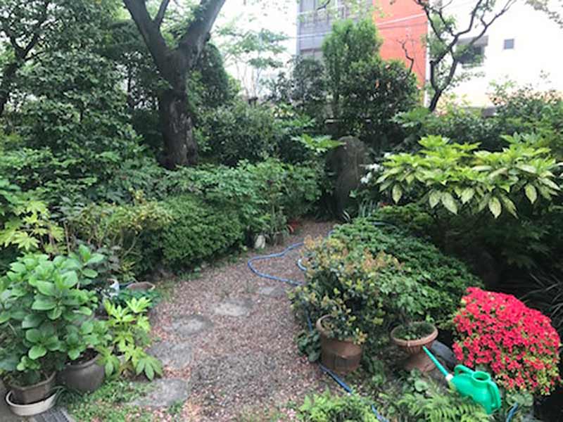 桃林寺 のうこつぼ