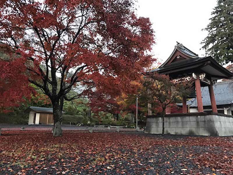 心源院 のうこつぼ　紅葉が美しい境内