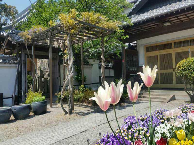 蓮花寺 のうこつぼ