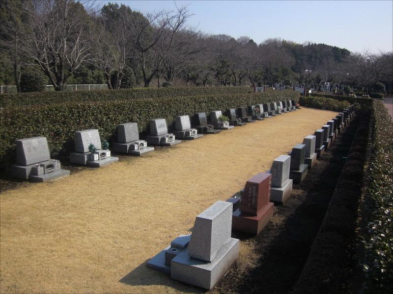 綾瀬市営 本蓼川墓園 ゆとりのある参道