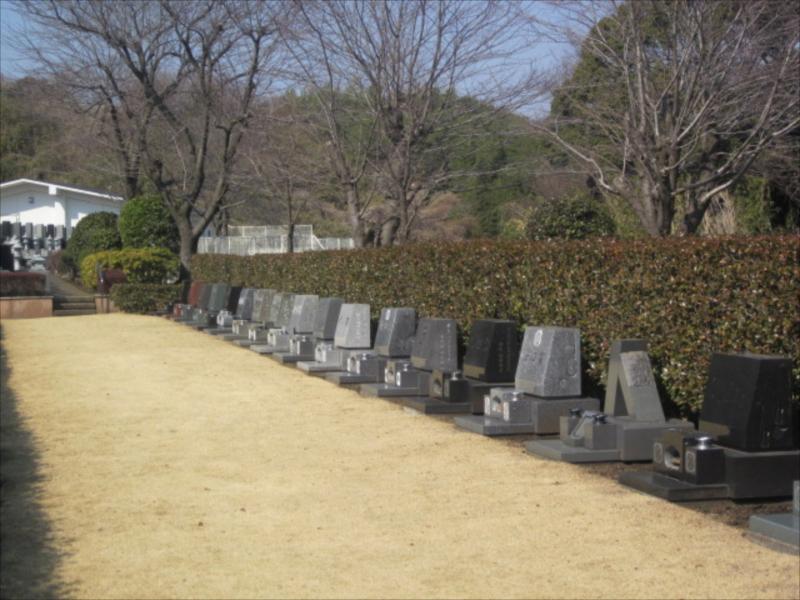 綾瀬市営 本蓼川墓園　自然に囲まれた墓域