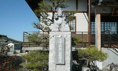 前熊寺 個別永代樹木葬