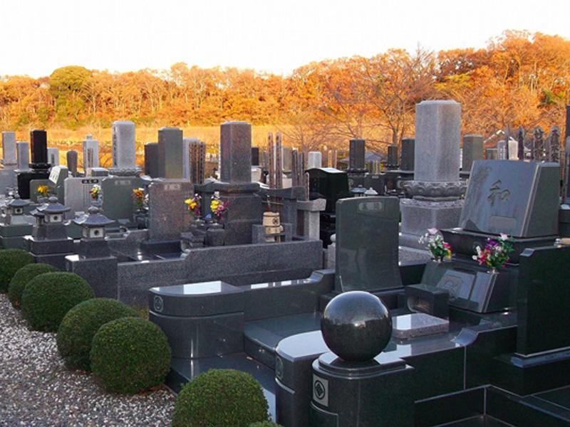 木更津市営霊園　霊園を囲む紅葉