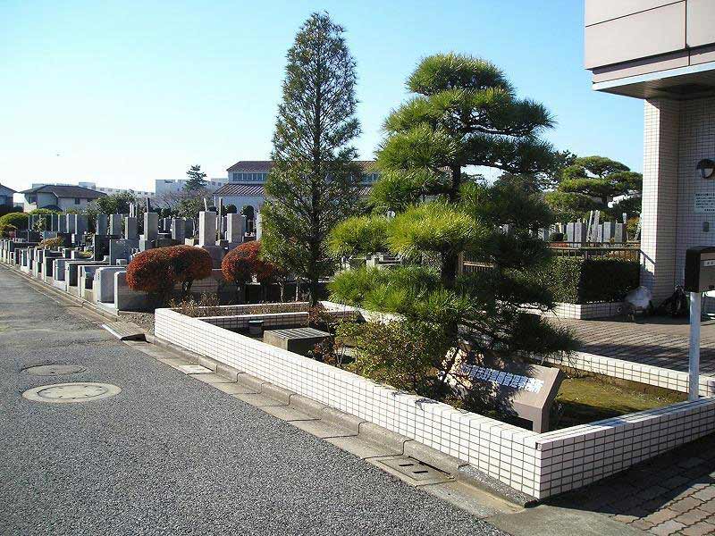 船橋市営 習志野霊園　管理事務所前にある植栽