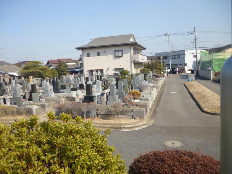 船橋市営 習志野霊園　一般墓所風景
