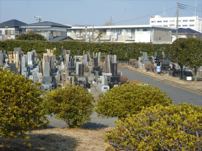船橋市営 習志野霊園　植栽豊かな園内