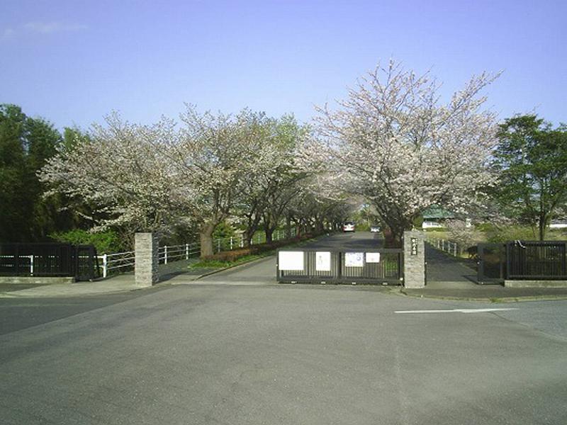 市原市営 能満墓園　桜並木の入り口