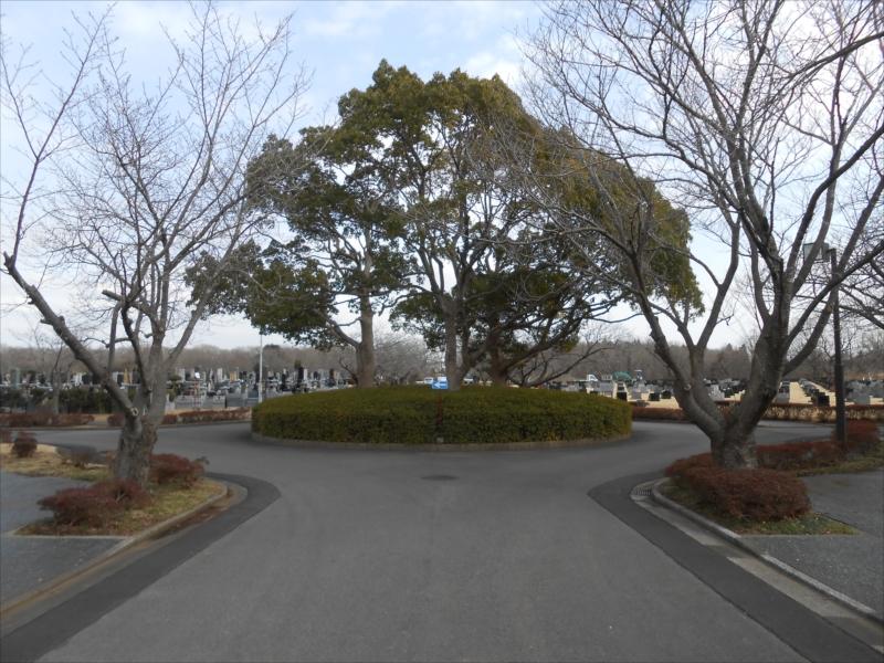 市原市営 能満墓園　園内風景