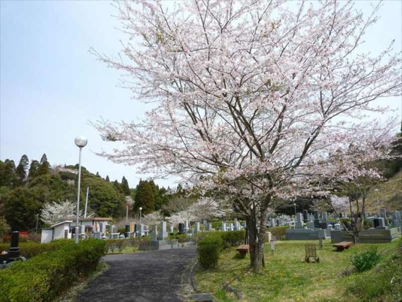 一宮町営 宮の森霊園　桜咲く園内