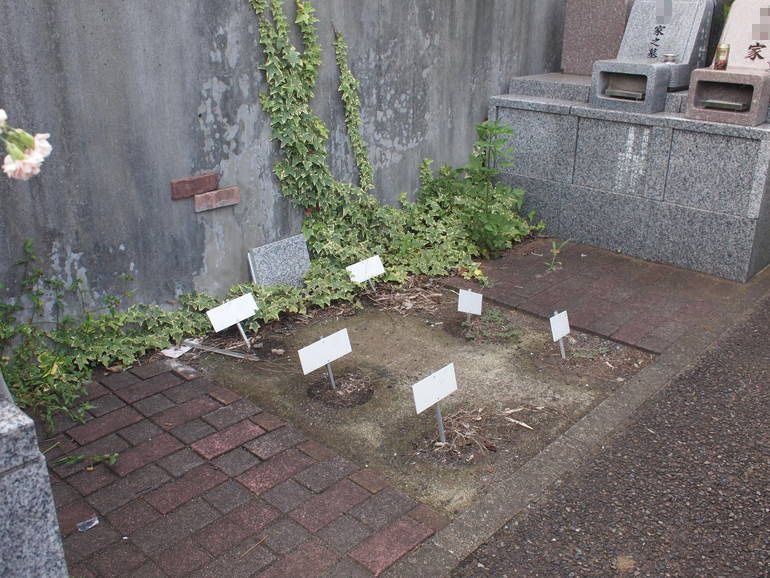藤沢霊園　新規募集区画