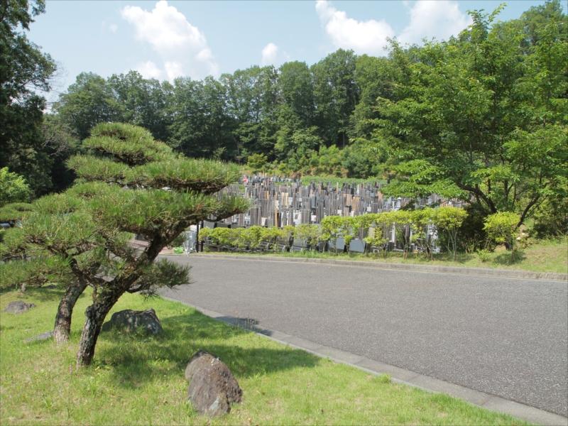 浄光の森聖地　手入れの行き届いた植栽