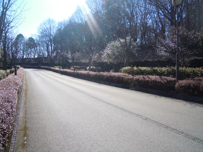 宇都宮市営 聖山霊園
