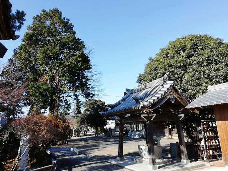玉正寺