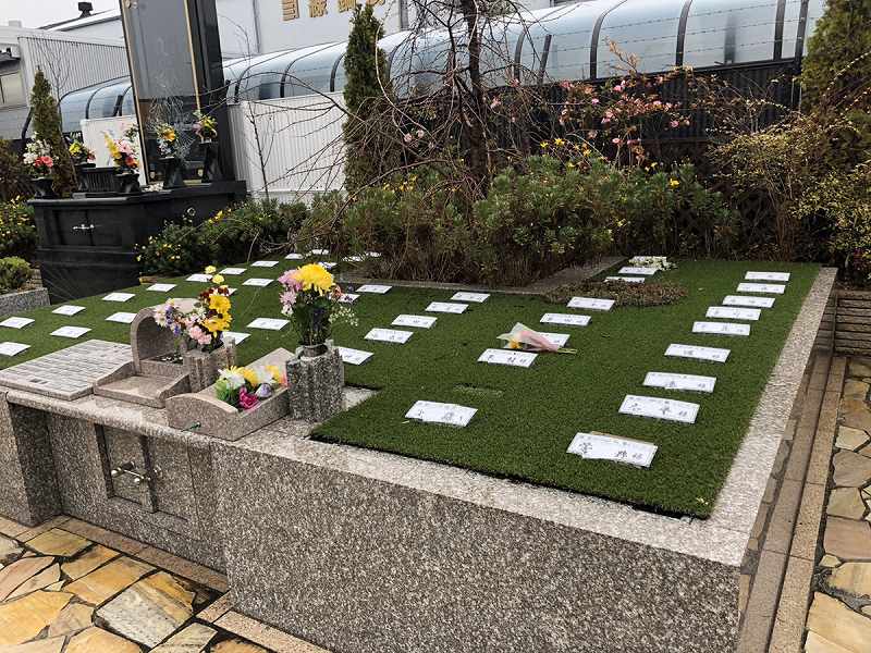 メモリアルパーク観音新町 永代供養 樹木葬「桜」