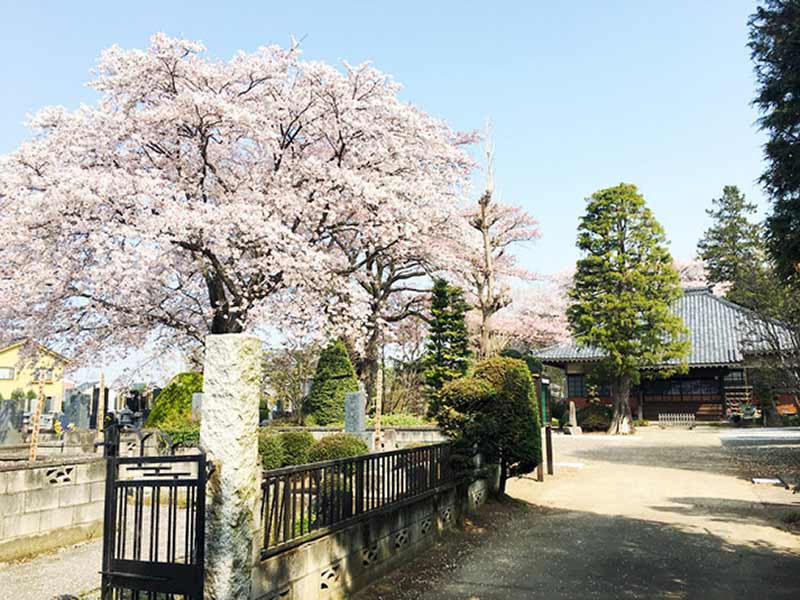 古河樹木葬墓地