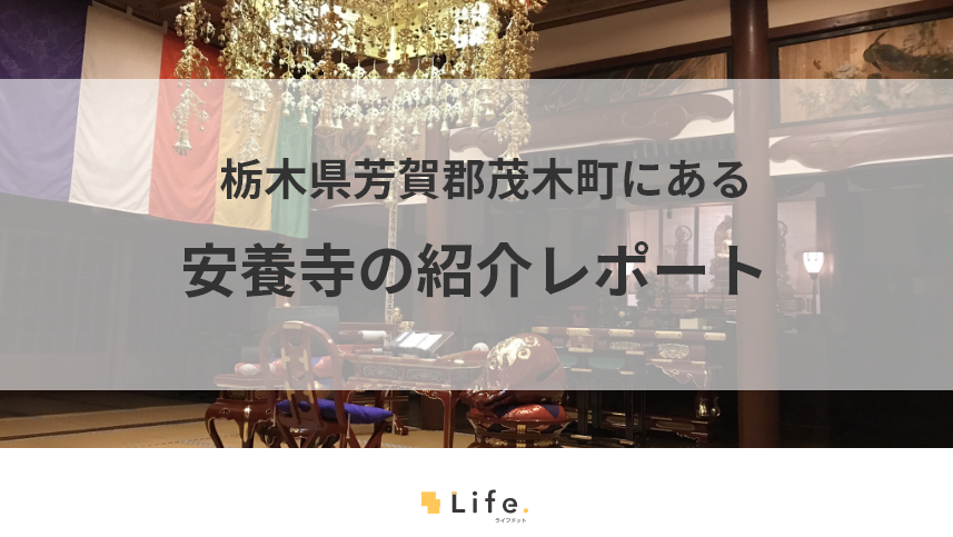 安養寺の紹介記事タイトル