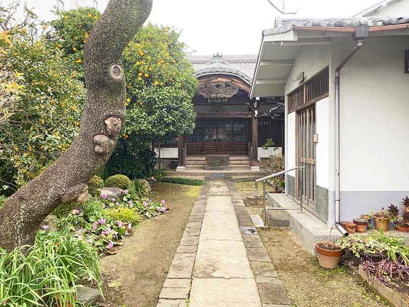 蓮乗院　立派な寺院