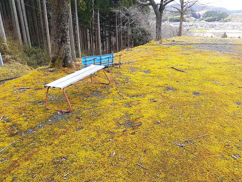 大円寺