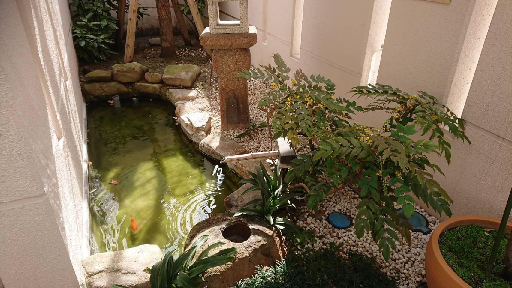 専光寺墓苑の庭苑