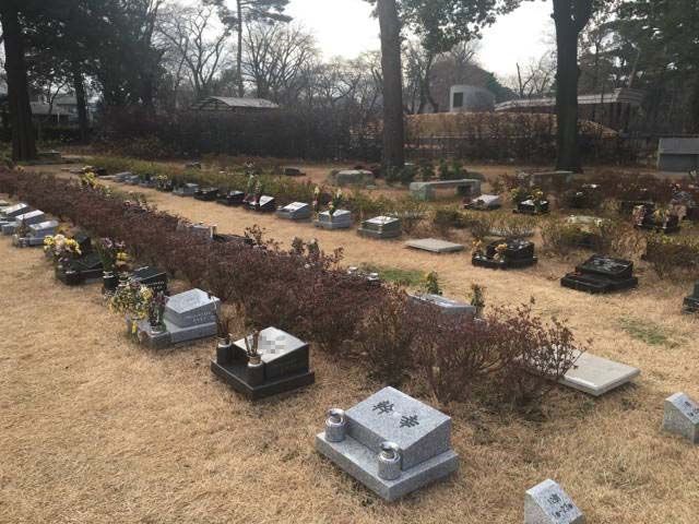 都立 小平霊園　芝生墓所