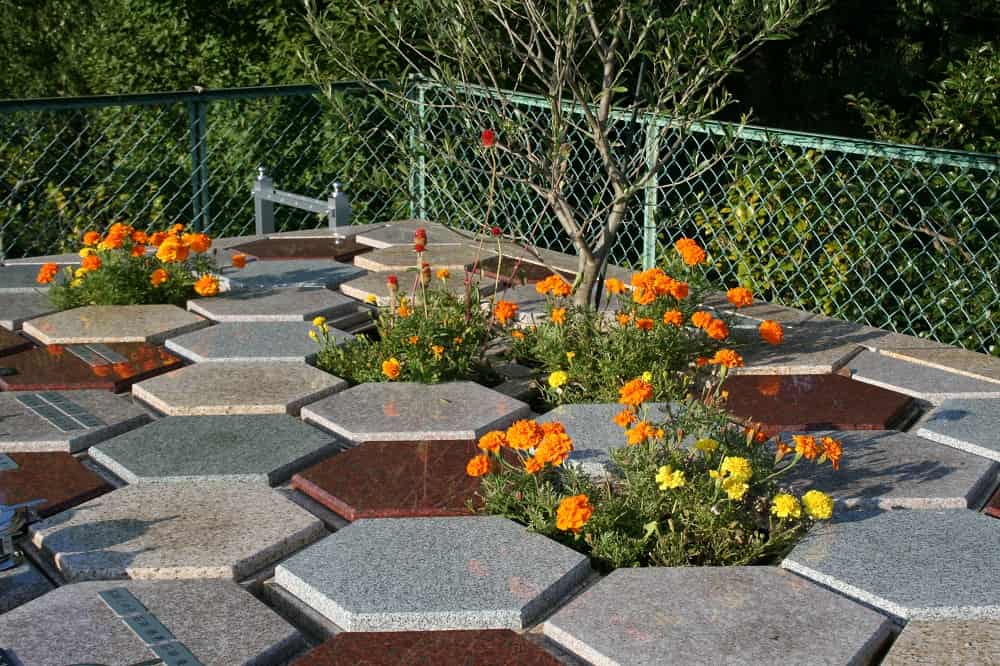 樹木葬区画のアルヴェアージュ