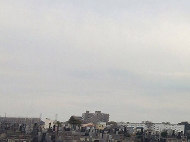 現地からみなとみらいを一望できる