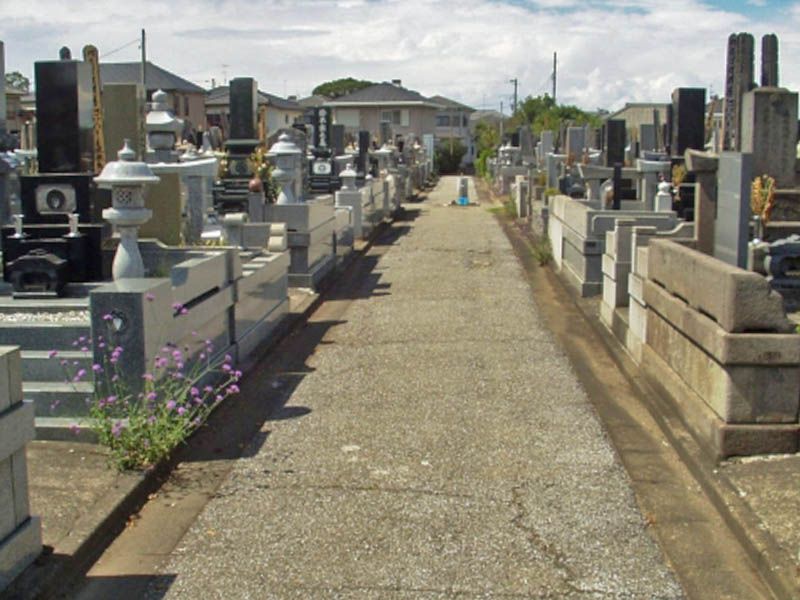 歩きやすく舗装された通路