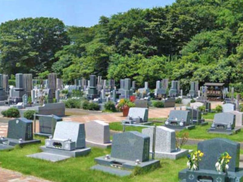 バリアフリー設計で歩きやすい園内