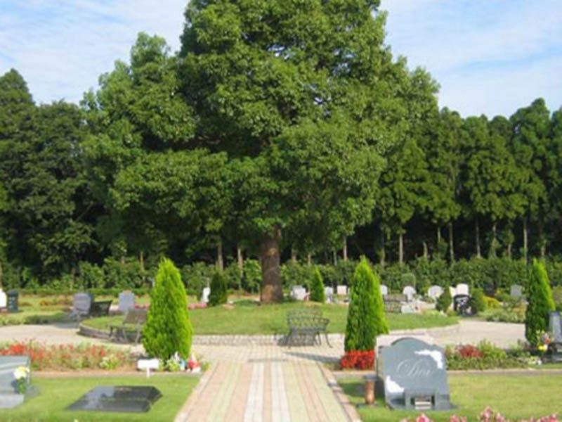 緑に囲まれた心地よい霊園