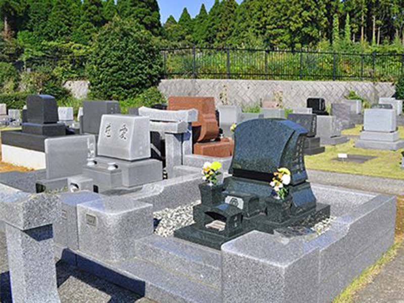 どの場所も日当たり抜群の園内