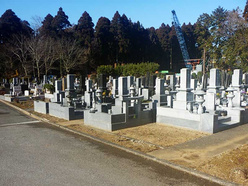 日当たり抜群の園内