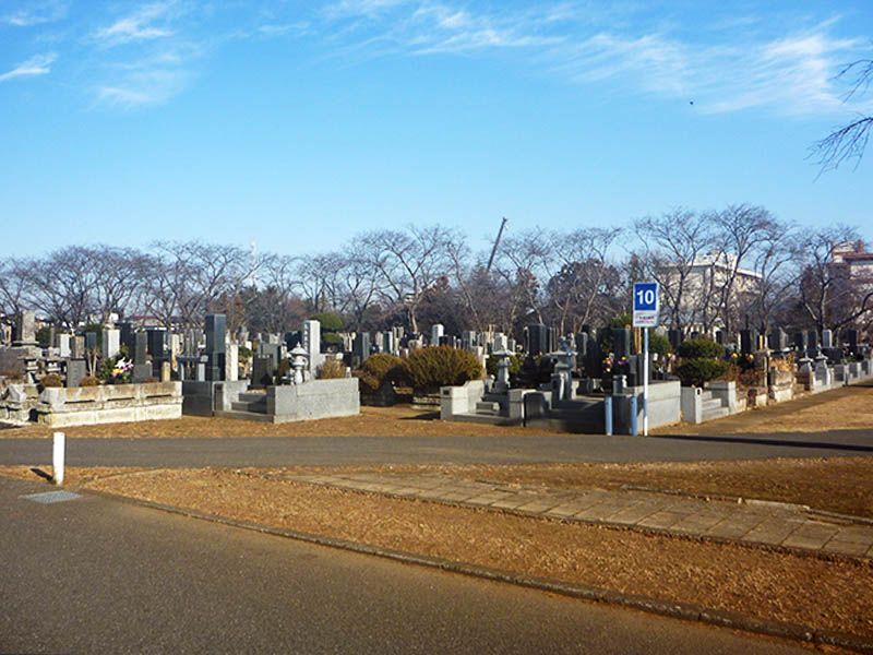 開放的に開けた桜木霊園の全景