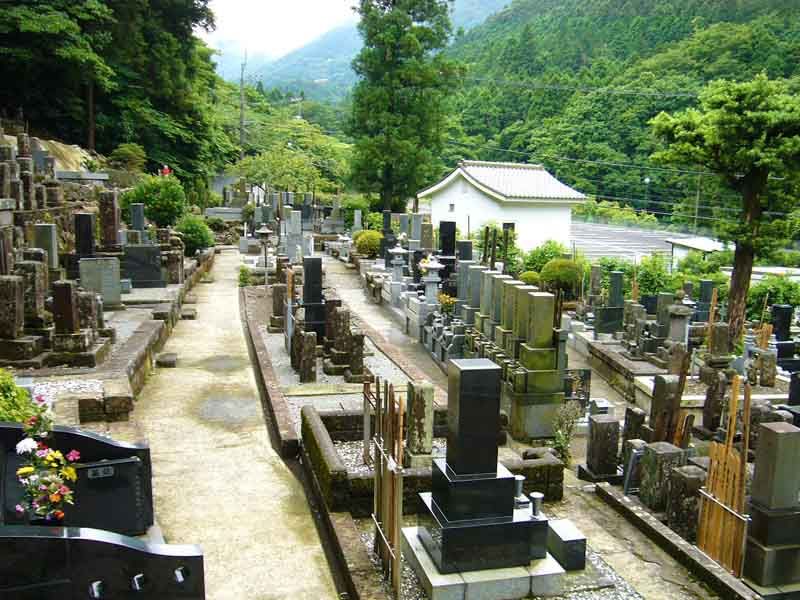 新緑が心地いい園内