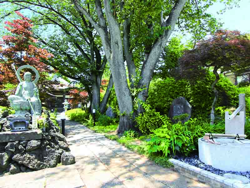 緑あふれる新百合ヶ丘墓苑