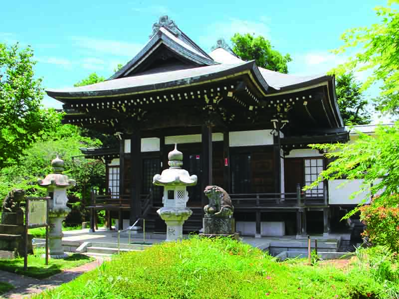 新緑が心地いい苑内