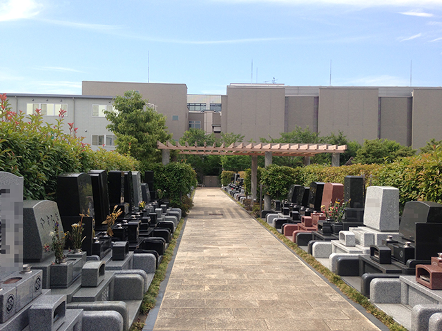 上石神井霊園　バリアフリー参道