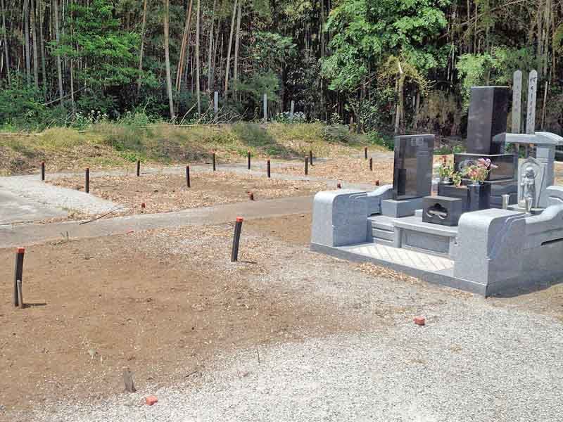 広々としたつくりの園内