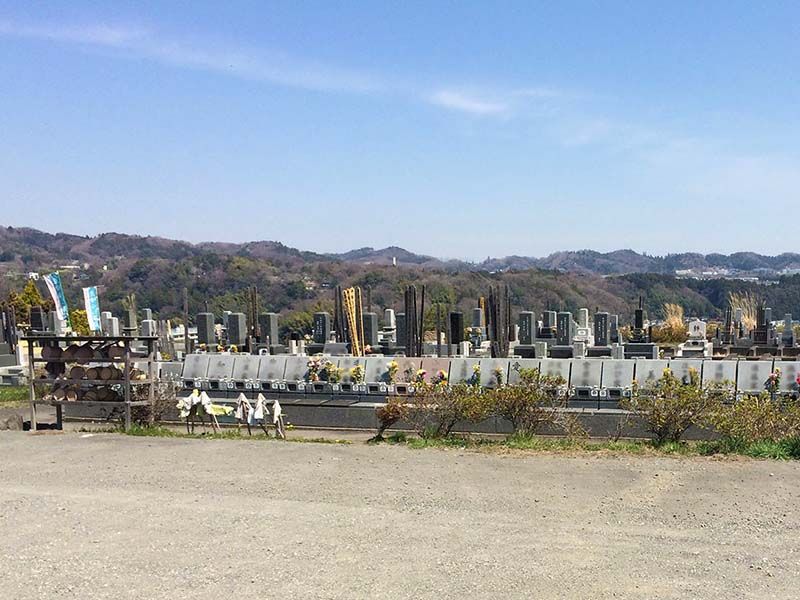 開放的な園内は日当たり抜群