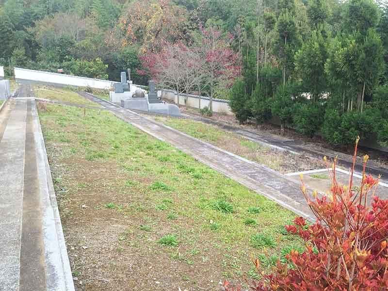 日当たり抜群の開けた園内