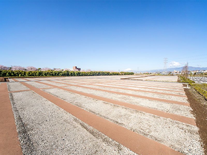 完全バリアフリー設計の園内