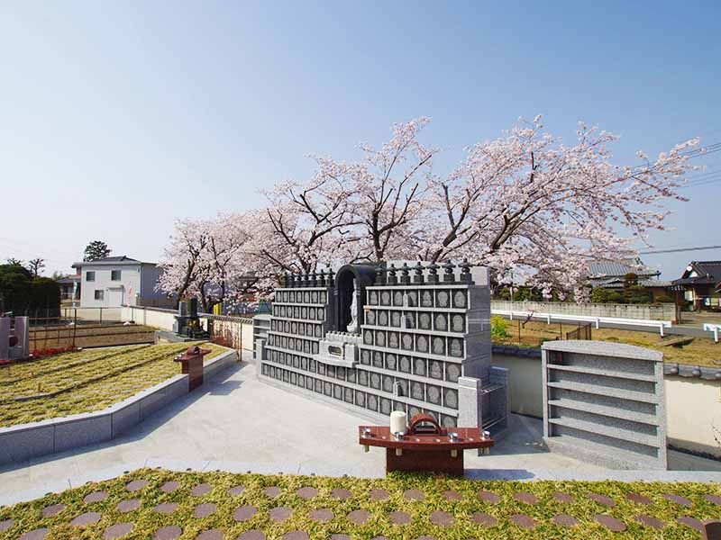 慈眼院墓苑 永代供養墓・樹木葬　春には桜が咲く苑内