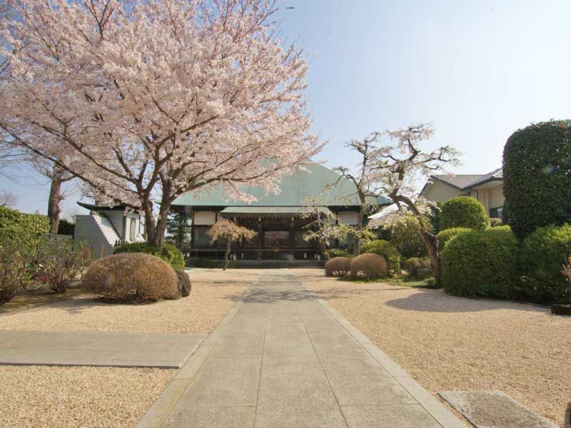 浄安寺墓苑　春には桜の咲く境内