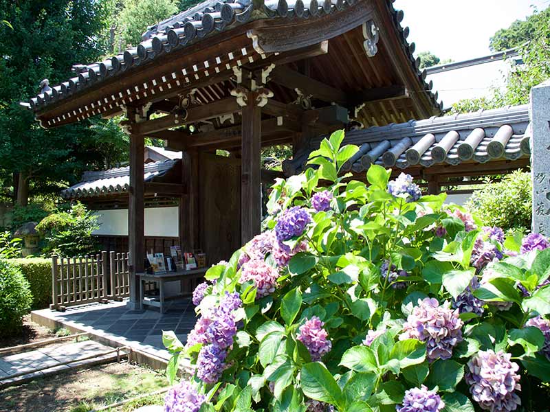 花の咲く寺院外観