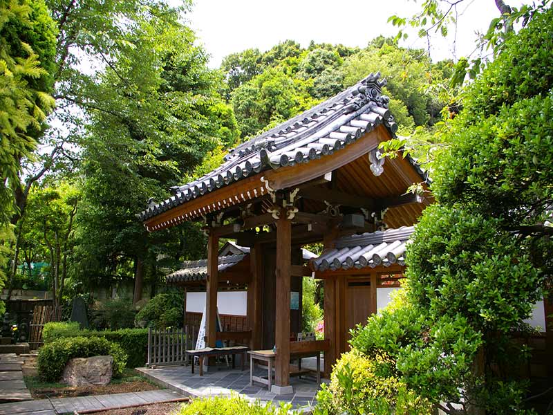 緑に囲まれた門
