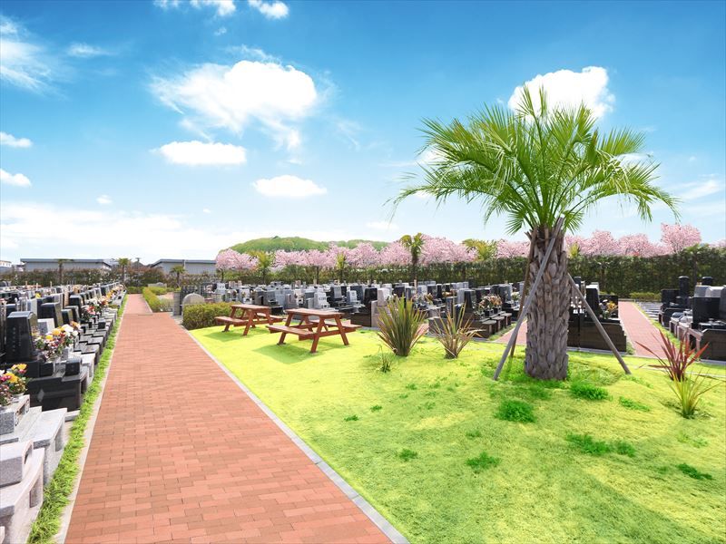 第二朝霞聖地霊園　開放感を演出するヤシの木