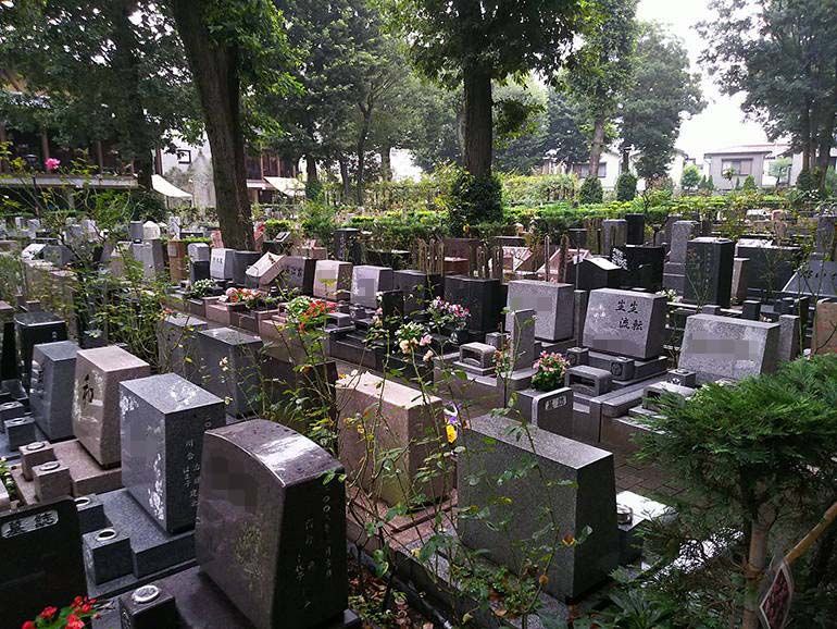 小平ふれあいパーク　様々な墓石が混在